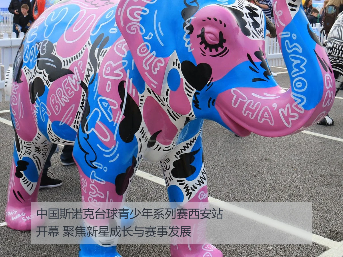 中国斯诺克台球青少年系列赛西安站开幕 聚焦新星成长与赛事发展